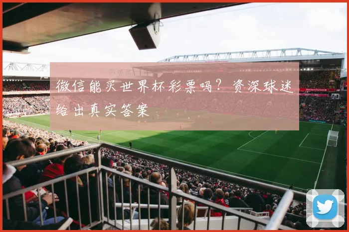 微信能买世界杯彩票吗？资深球迷给出真实答案