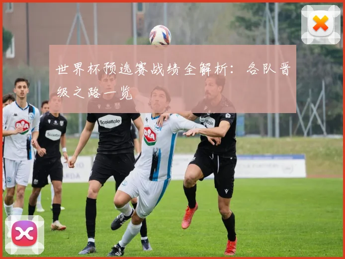 世界杯预选赛战绩全解析:各队晋级之路一览