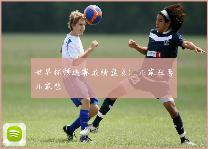 世界杯预选赛成绩盘点:几家狂喜几家愁