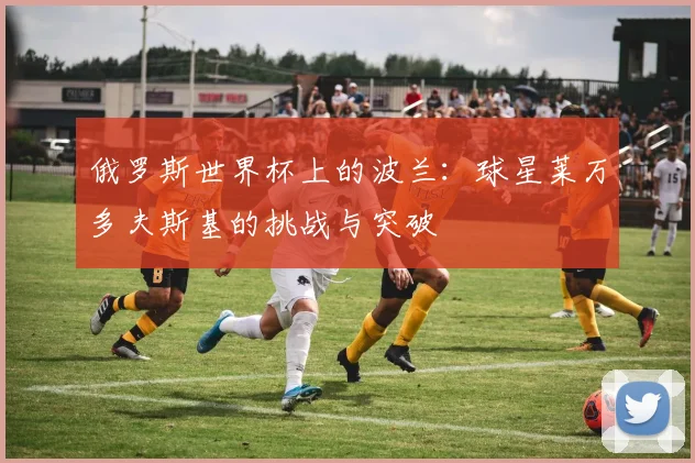 俄罗斯世界杯上的波兰：球星莱万多夫斯基的挑战与突破