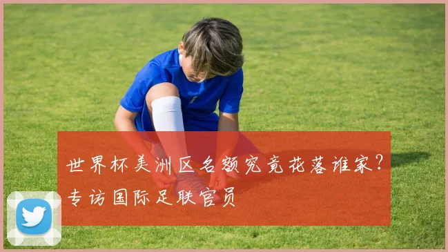 世界杯美洲区名额究竟花落谁家？专访国际足联官员