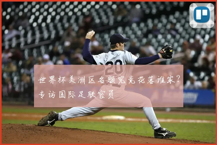 世界杯美洲区名额究竟花落谁家？专访国际足联官员