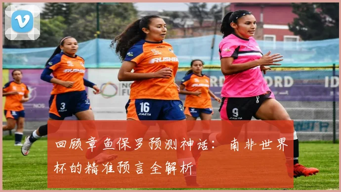 回顾章鱼保罗预测神话:南非世界杯的精准预言全解析