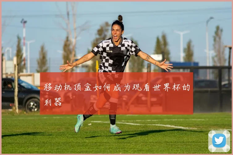 移动机顶盒如何成为观看世界杯的利器