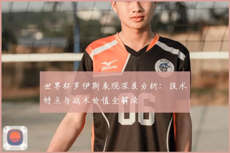世界杯罗伊斯表现深度分析：技术特点与战术价值全解读
